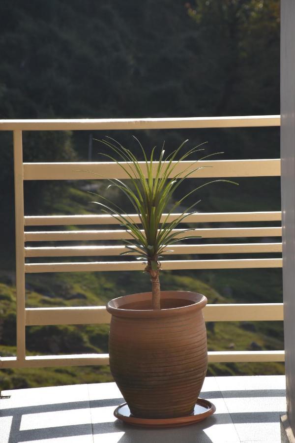 Jot Eco Boutique Stays ダラムシャーラー エクステリア 写真